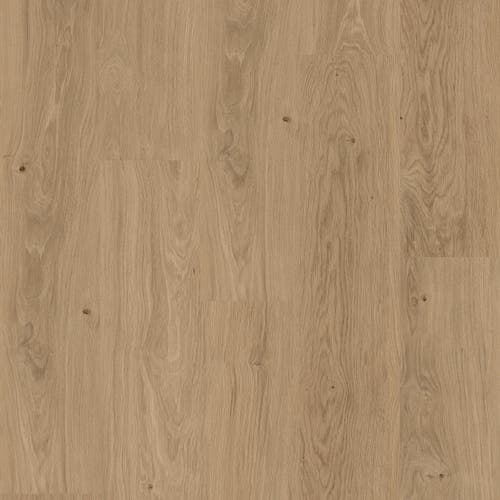 Mandelay | ProPlus 1200 Series