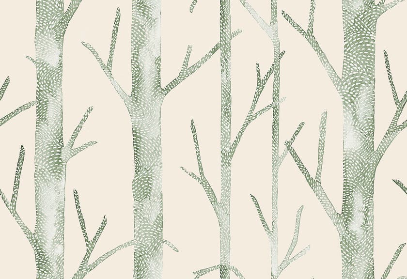 Jannelli & Volpi - Everett