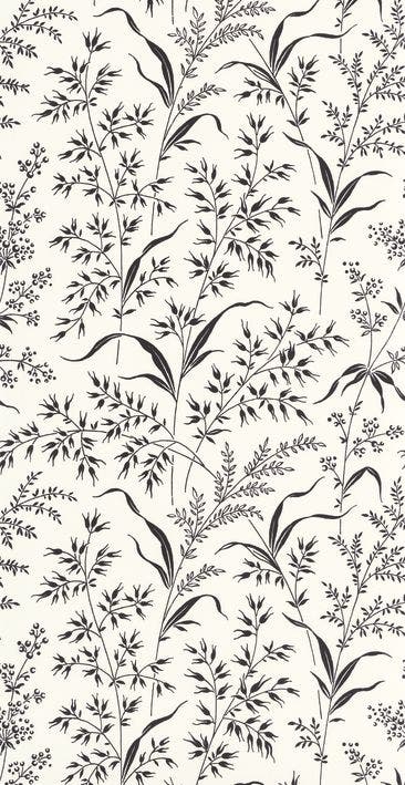 GRASS FIELD FUSAIN SOLIFLORE