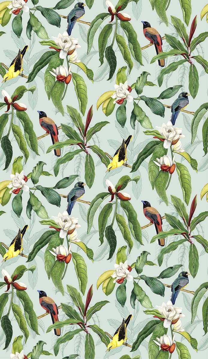 Osborne & Little - Michelia Empyrea Michelia Eau De N