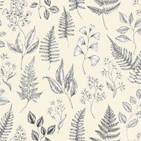 Betula - Midbec Skogsgläntan