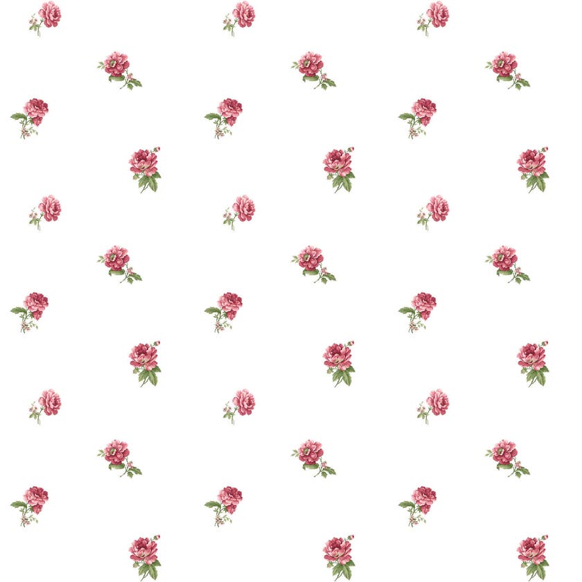 Carma - Blooming Garden