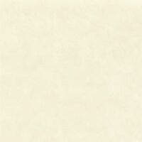 ARGILE COQUILLE LA CHAUX