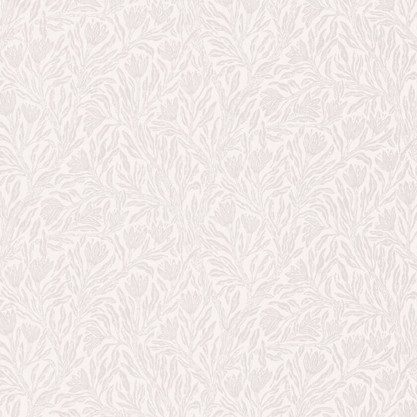 Krokus Whispering Beige Norrviva