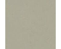 Marmoleum Click Orbit 60 x 30 cm