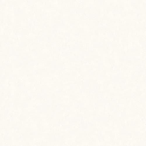 Fiona - Concrete Gloss