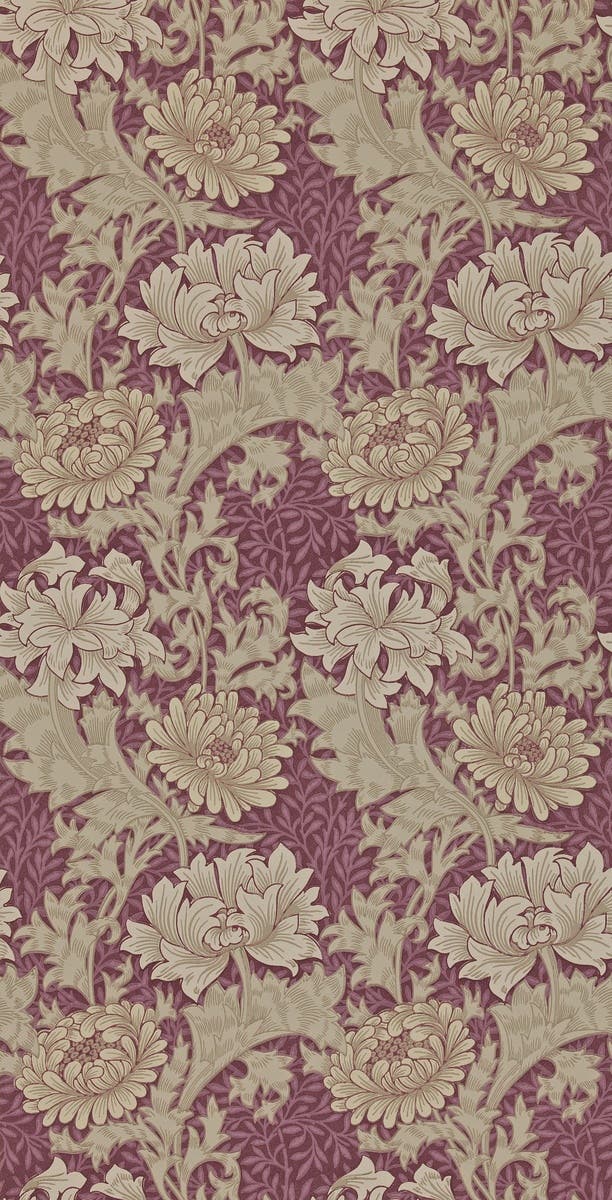 Chrysanthemum Wine Archive II Wallpapers