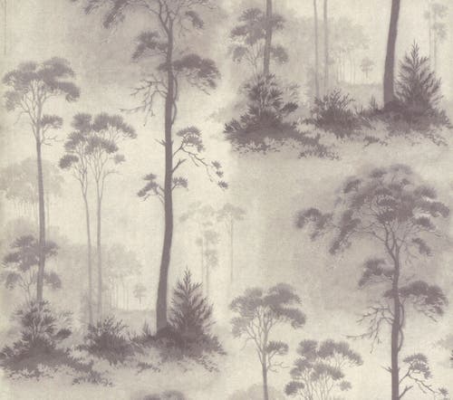 Carma - Prior Park, NW Rosemore