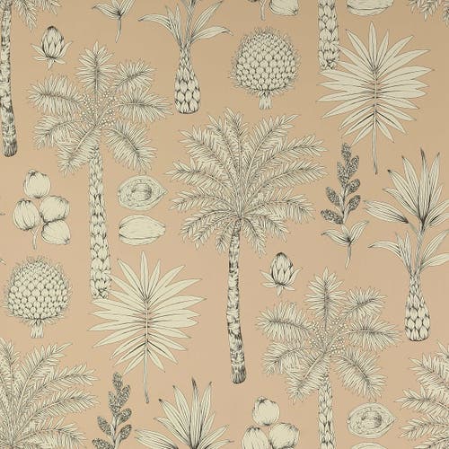 Manuel Canovas - Cote d'Azur Peche