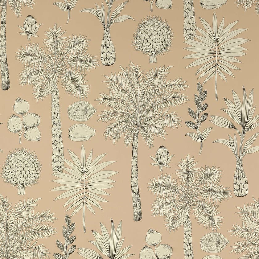 Manuel Canovas - Cote d'Azur Peche