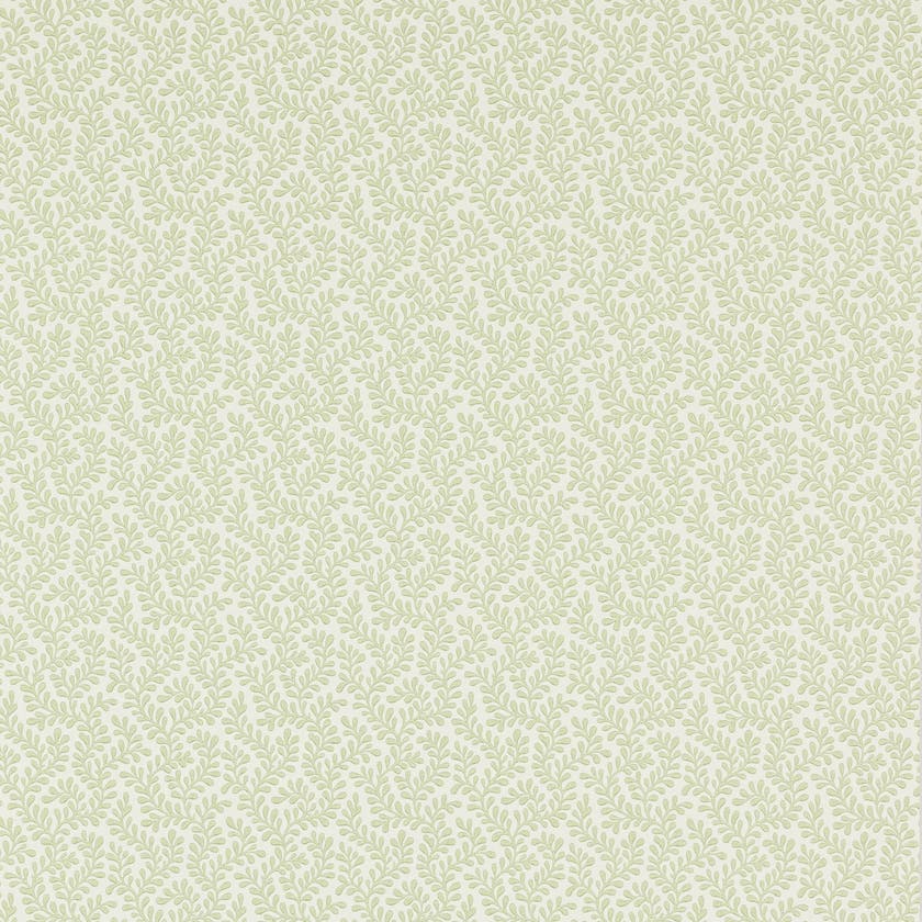 Colefax and Fowler - Rushmere Willow Green (Outlet)