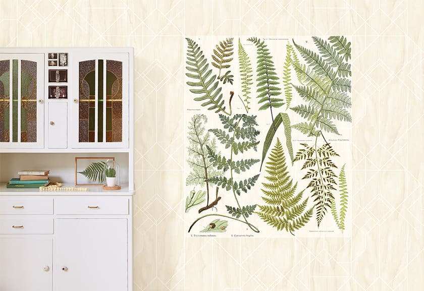 Eijffinger Intrade - Geonature