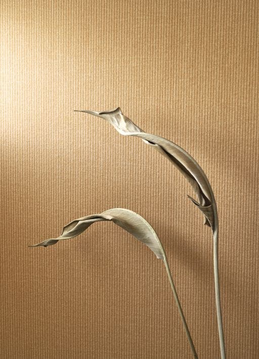 PAPIER KRAFT CARAMEL PAPERCRAFT