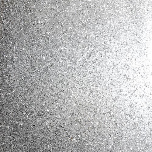 Sequin Sparkle Silver