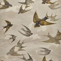 Chimney Swallows Picture Book Wallpapers I