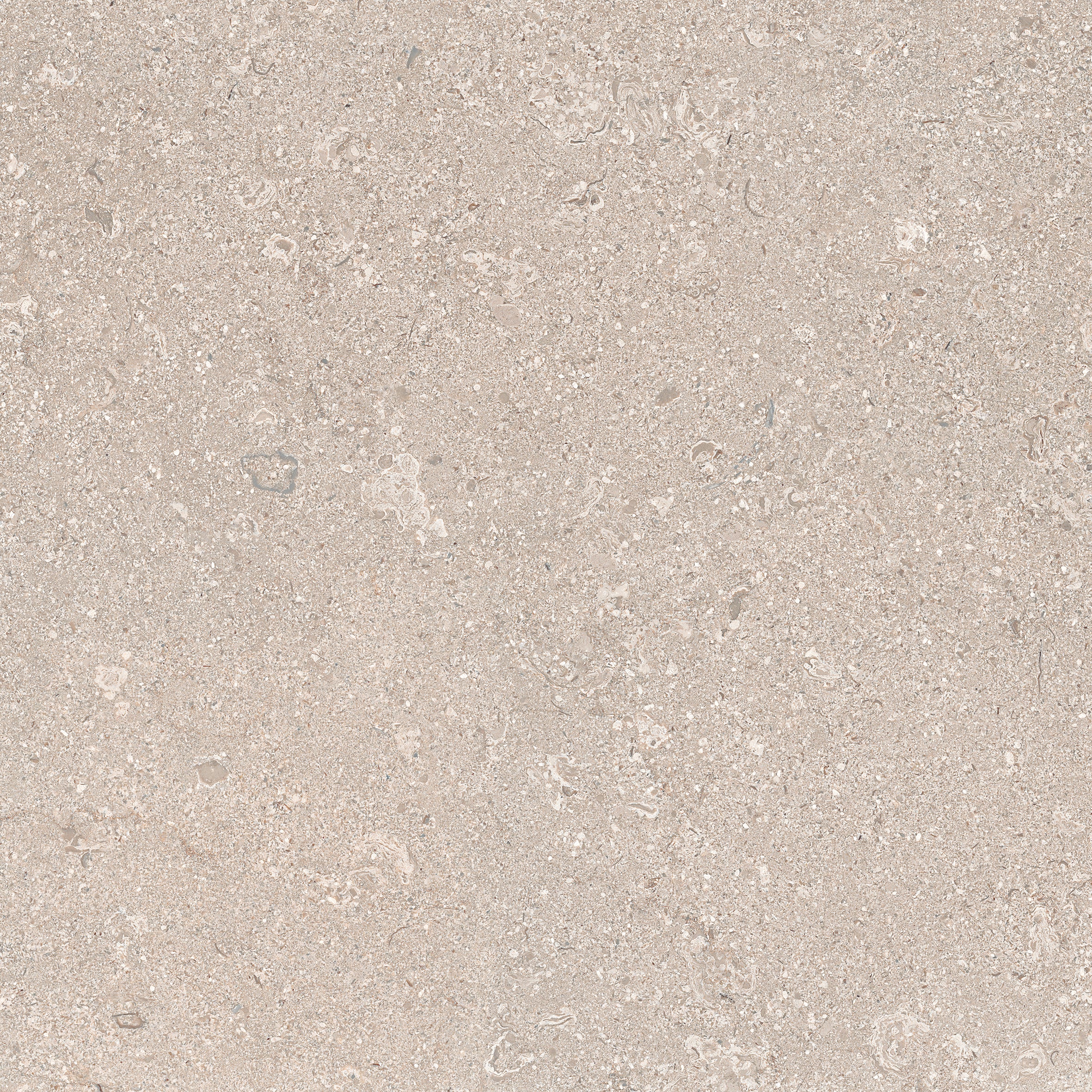 Limestone Ivory 60x60 såg