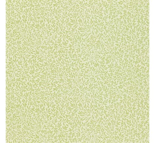 Morris & Co - Standen Fennel Morris 160th Anniversary