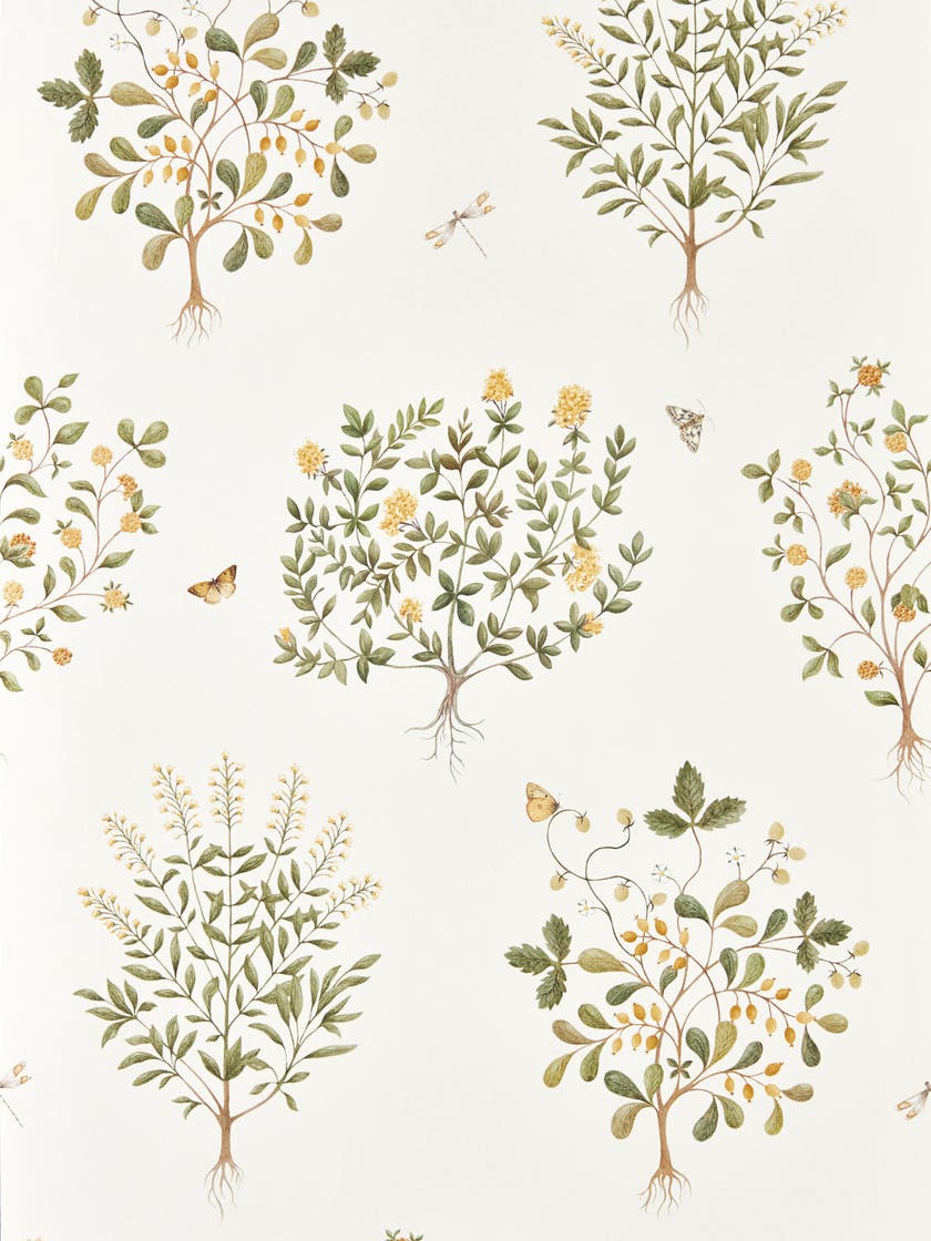Sanderson - Thyme Walk Lichen/Gooseberry