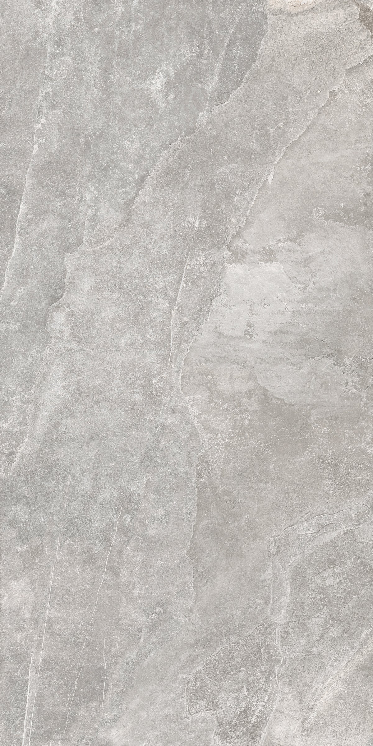 Everest Grey 60x120 såg