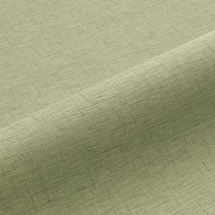 Caselio - Uni Gaze Vert Olive Gaze