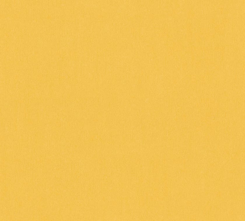 Intrade - Dream Flowery