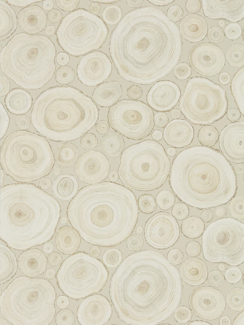 Alnwick Logs Birch Embleton Bay Wallpapers