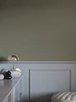 Akvarell Skägglav Akvarell