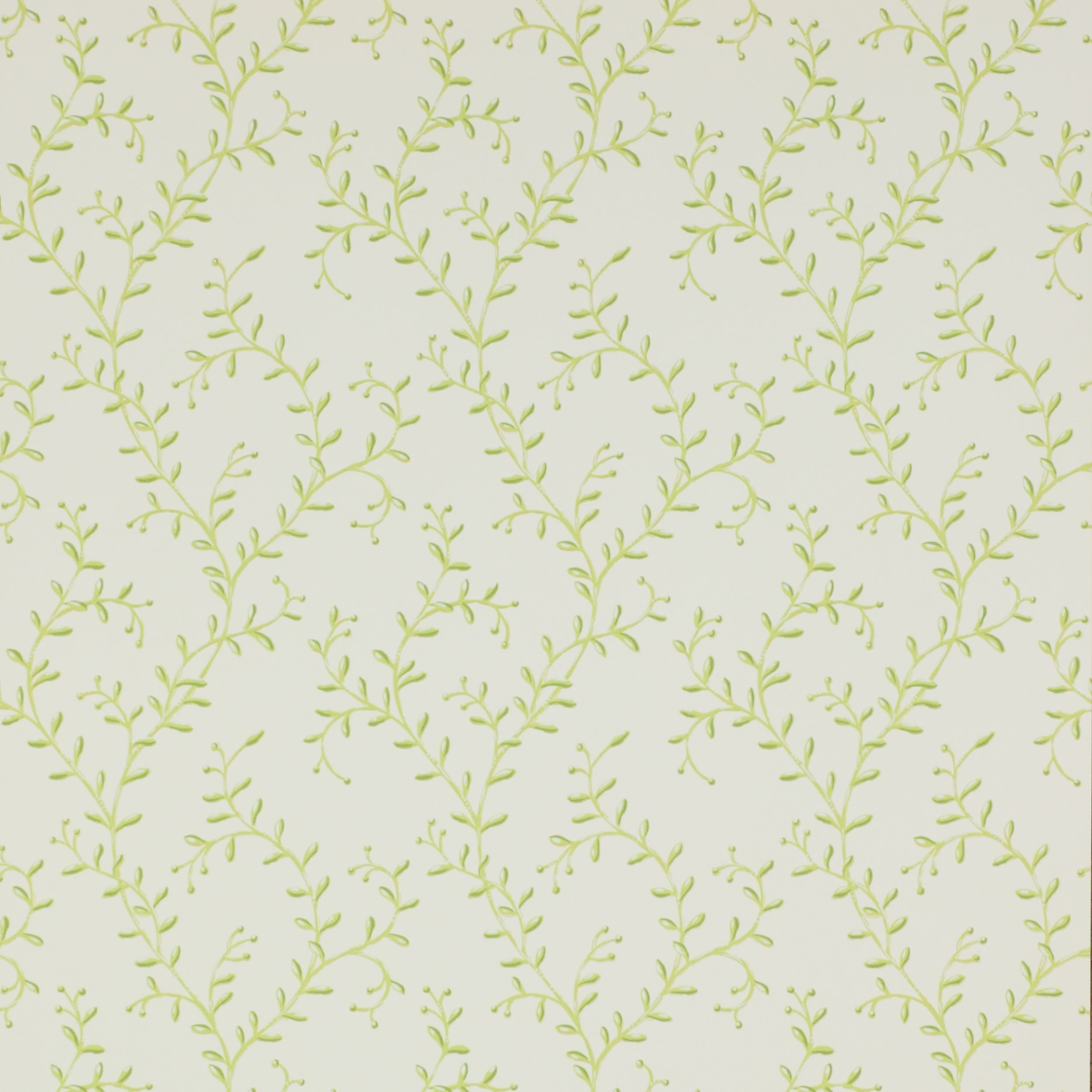 Colefax and Fowler - Leafberry Leaf