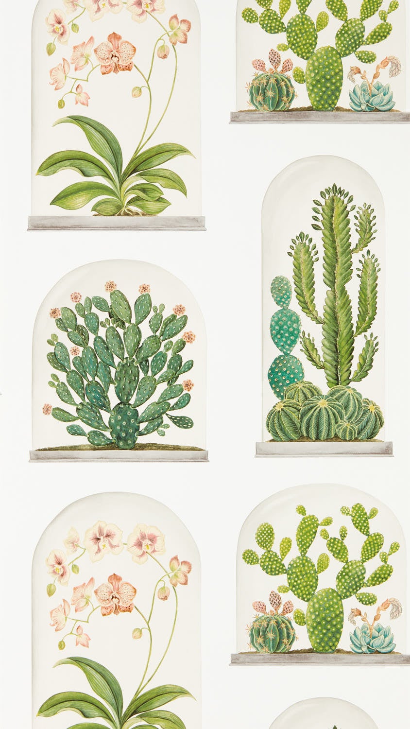 Sanderson - Terrariums Chalk/Green Glasshouse Wallpapers