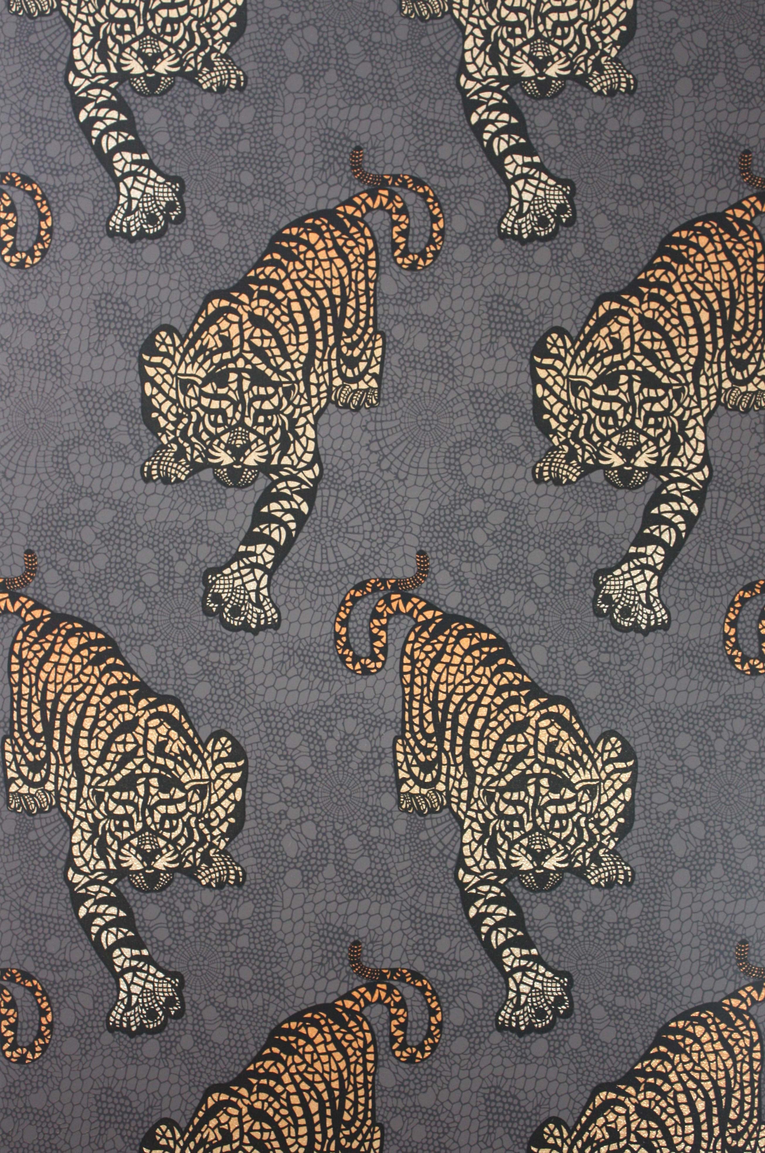 TYGER  CACAO/MARIGOLD 