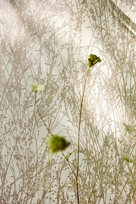 Meadow Canvas Gilver/Line Country Woodland Wallcove
