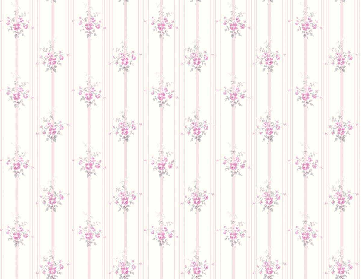 Carma - Alice & Rose