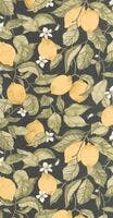 LEMON TREE JAUNE CITRON / SOLIFLORE