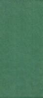 MARGAY PARAMO VINYLS MARGAY EMER