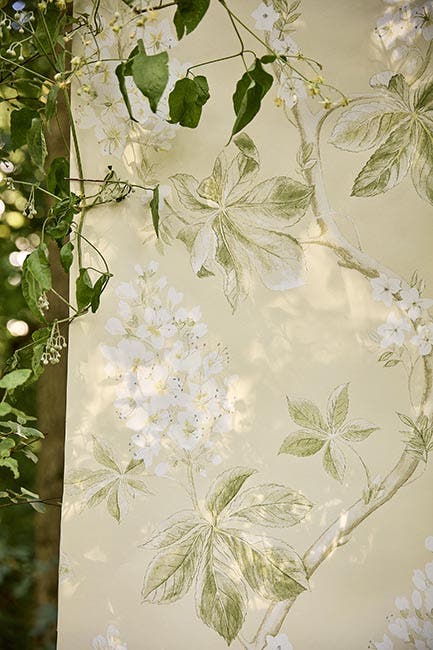 Sanderson - Chestnut Tree Seaspray/Pe Country Woodland Wallcove