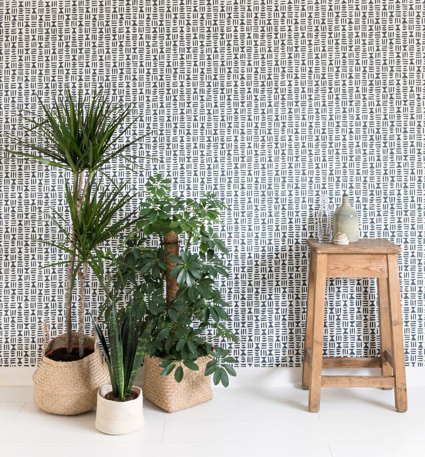 Heiroglyph Lead (Outlet)