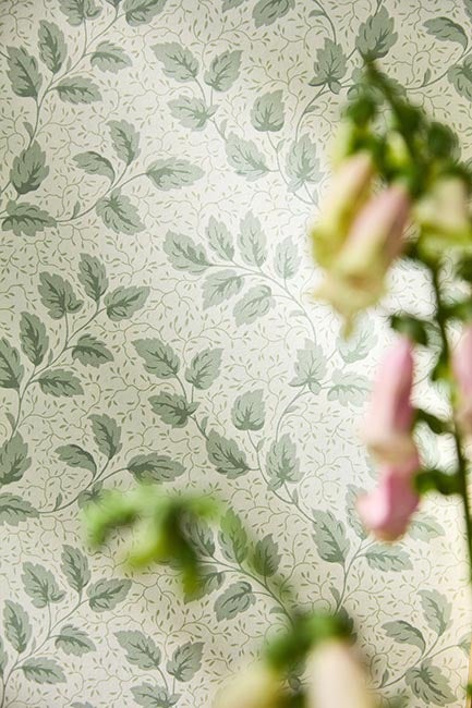 Sanderson - Tomato Leaf Wedgwood Country Woodland Wallcove