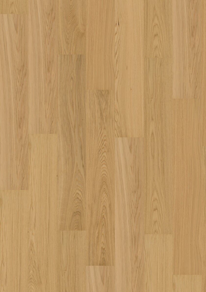 Maxwood Lodge - Ek Natur