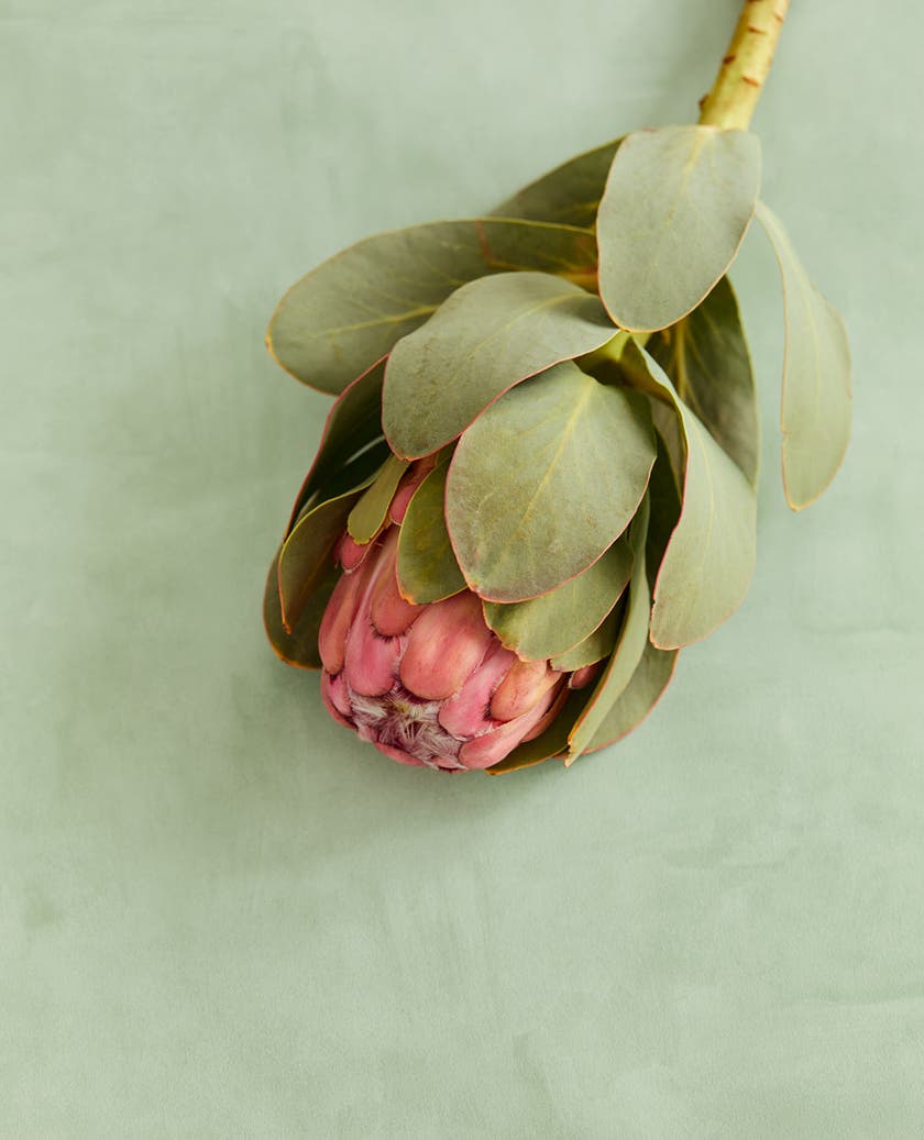 Eijffinger Intrade - Unify