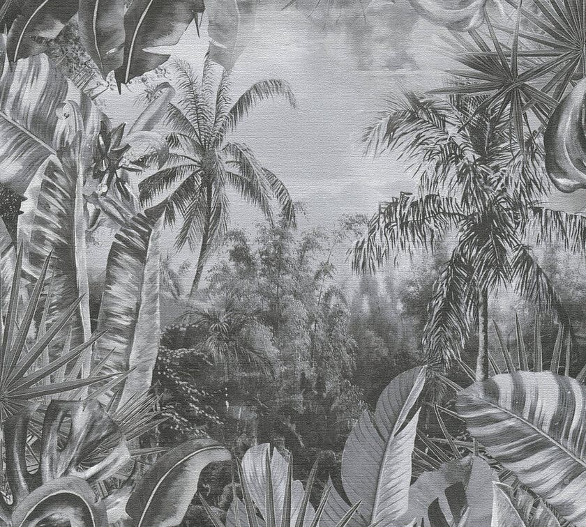 Aruba