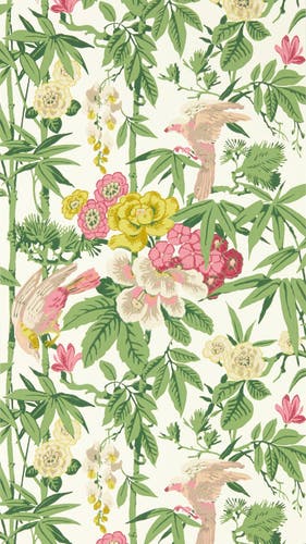 Sanderson - Bamboo & Birds Scallion G Water Garden Wallpapers
