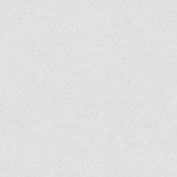 Caselio - Uni Mat Gris Perle Ceramique