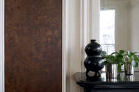 Essences de Bois Dryades Walnut tree RM42870