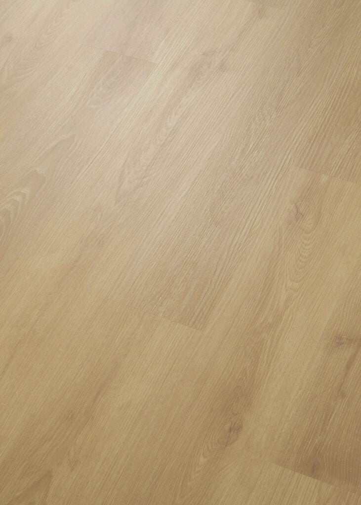 Bellagio | ProPlus 1200 Series 