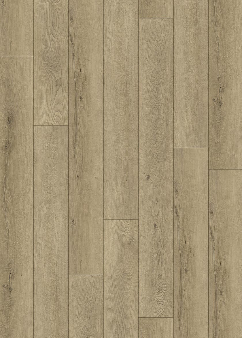 Softstep SYNQ Cohiba