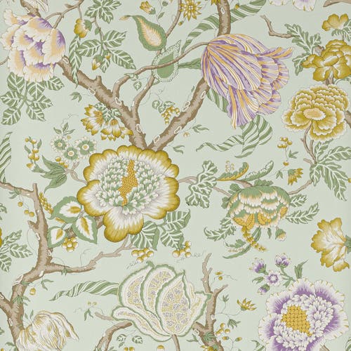 Manuel Canovas - Brahmane Amande