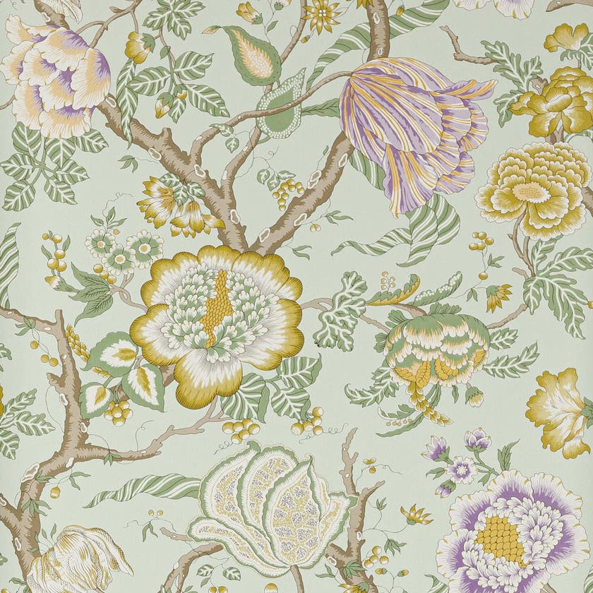 Manuel Canovas - Brahmane Amande