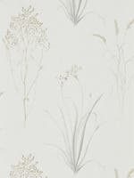 Farne Grasses Silver/Ivor Embleton Bay Wallpapers