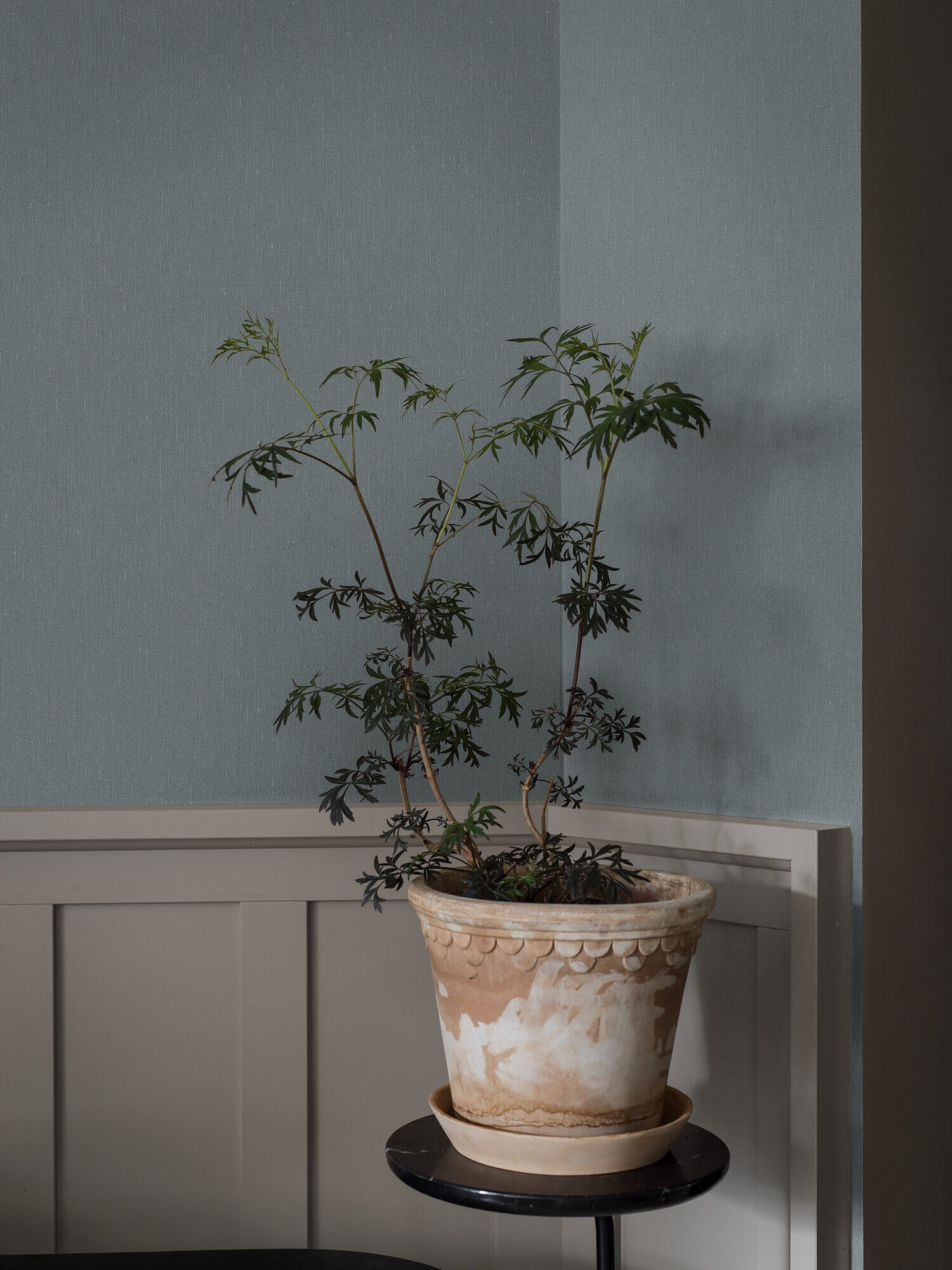 Boråstapeter - Dusty denim