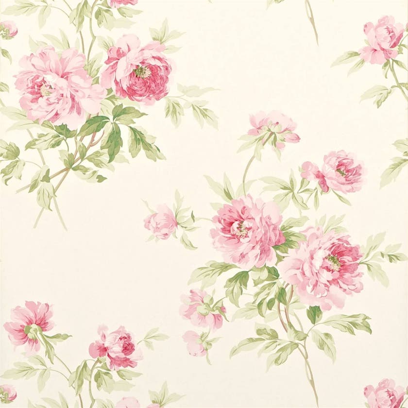 Sanderson - Adele Rose/Cream Sanderson One Sixty Wallp